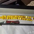 سبحه كهرمان بولندي