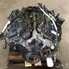 مكاين اكسبدشن وكاله و تورس جديده و الفورد ضمان سنه كامله