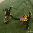 سكوتر نظيف للبيع