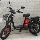 دراجه كهربائيه مقاس 20 الروسية 2025