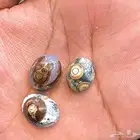فصوص سليماني دوادي شي فخر