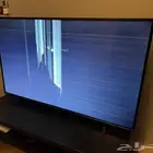 تلفزيون شاشة