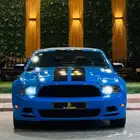 فود موستنج 2014