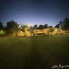 مزرعة ايجار يومي في سدير