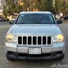 جيب شيركي نظيف