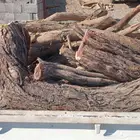 خشب للبيع الموقع ينبع البحر  050 392 5692  رقم راعيه اتصال