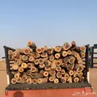 هايلوكس 2025