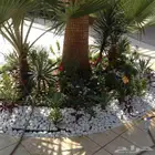 مهندس زراعي الرياض