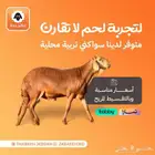 ذبايح سواكني تربيه ذبيحه سواكني خروف سواكني ثلاجه ذبائح