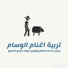 ذبيحتك لباب بيتك