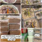 اسر مناجه ع الطلب والحجز قبلها بيوم