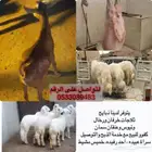 ذبائح ثلاجات كفووو مع خدمة  الذبح والتوصيل