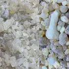 عرض على لبان عماني حوجوري