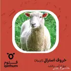 لحوم ذبائح نعيمي وتيوس وسواكني لباني وجذع