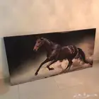 خيل برواز حصان ديكور