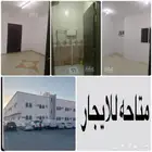 شقق للايجار