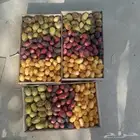 رطب الاحساء من مزرعتنا الى باب بيتكم
