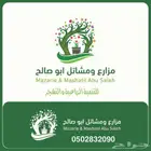 اشجار بنسيانا عملاقة (احجام كبيرة ) -وترمناليا 7 و 8 متر