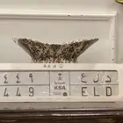 لوحه مميزه 449 د ل ع