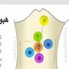 علاج شلعة السرة