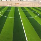 ملاعب قياسيه