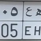 لوحة 2005
