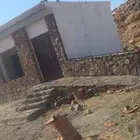 بناء حجر