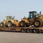 لوبد متواجد في الوجه العلا تبوك