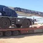 لوبد موجود في المدينه المنوره