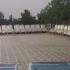 تاجير كراسي ملكي