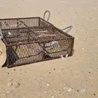 قفصين حمام دجاج