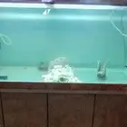 للبيع حوضين سمك مع كامل ملحاقتهم