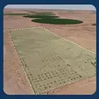 مزرعة البيع بمنطقة حائل - بقعاء