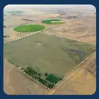 مزرعة للبيع في الهيلا شرق بقعاء بمنطقة حائل