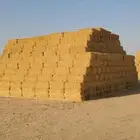 برسيم صافي عدد 4000 لبنه