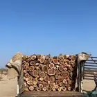 ادنه للبيع شد بلد الوحه حطب 345