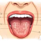تصميم و دورات محترف انجليزي و اعمال