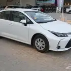 كورولا ستاندر XLI 2025