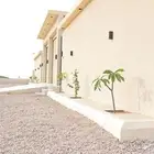 استراحات للأجار اليومي طريق الملك عبدالله خلف شركة الوجيه