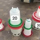 علفت وسقيت للبيع