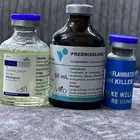 علاجات تنشيط هجن و خيل
