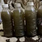 زيت البيلسان الأصلي من محافظة بدر