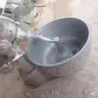 للبيع عجان 70 كيلو