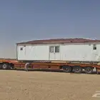 لوبد متواجد في الجوف طبرجل ميقوع