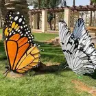 فراشات