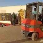دينا المشواره القاعده الخطه الجديده المندسه حائل