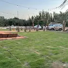 شبك صيد قبه