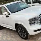 هافال اتش 9 أقل سعر 2026