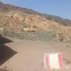 ارض للبيع في البركة على شارع 24م شرقي