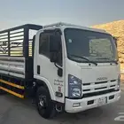 دينه ايسوزو مديل 2013